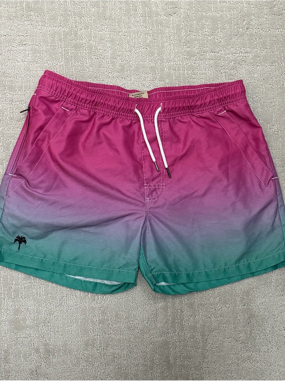OAS Men's Ombré Pink to Teal Swim Trunks